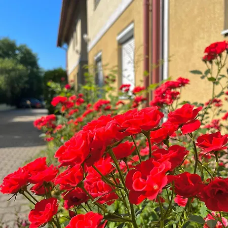 Apartament Anna's Residency - Prestige