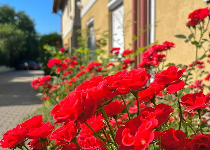 Lägenhet Anna's Residency - Prestige